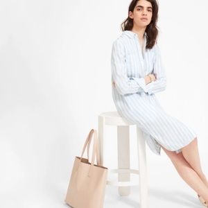 Everlane Striped Shirtdress